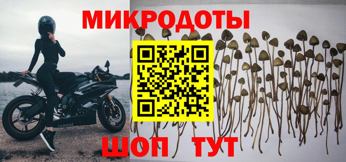 Как найти закладки?  COCAIN  Бошки Шишки  Среднеуральск  Гашиш  ТГК  Меф кристаллы  Вход с VPN 